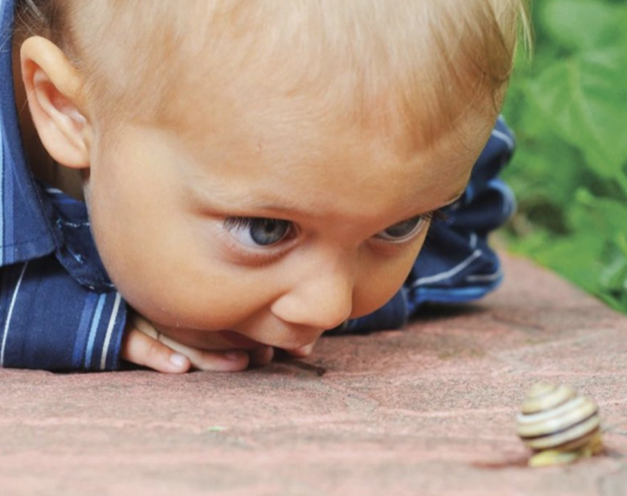 Kind betrachtet eine Schnecke